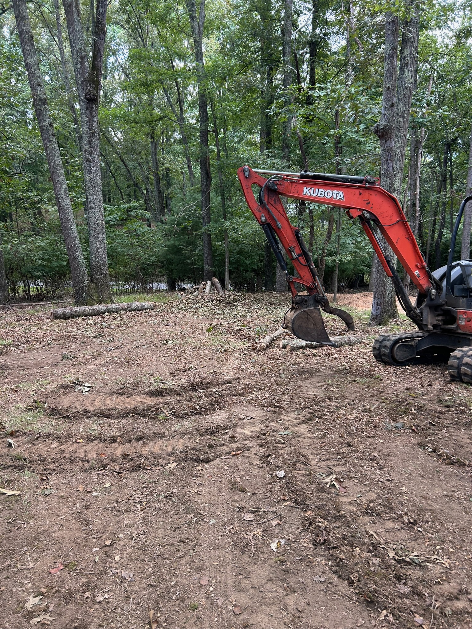 Tree & Debris Removal